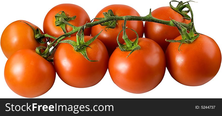 Some isolated tasty red tomato with a green branch