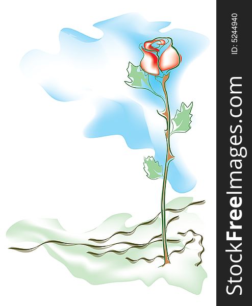 Coloured drawing of red rose growing up from scratched green ground to the blue sky. Coloured drawing of red rose growing up from scratched green ground to the blue sky