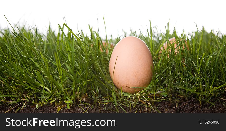 Fresh eggs on grass . isolated on a white background. please have a look at my other images about this theme. Fresh eggs on grass . isolated on a white background. please have a look at my other images about this theme