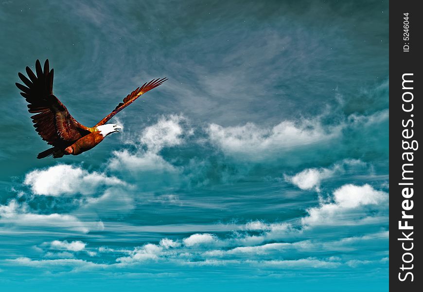 Eagle flying on a background of the dark blue sky