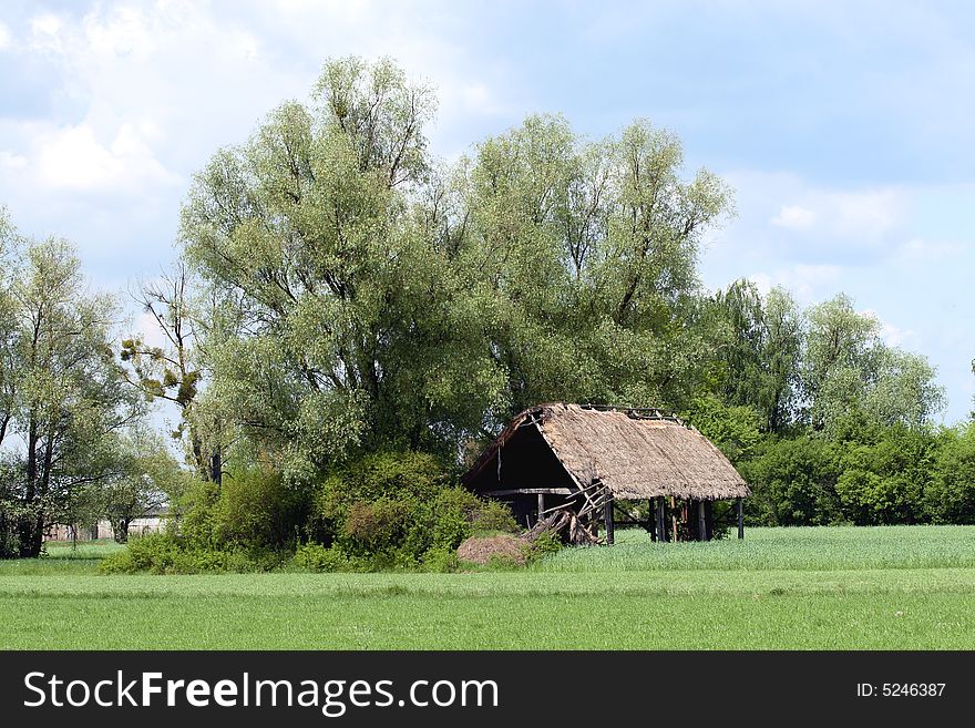 Old house next to trees. Old house next to trees