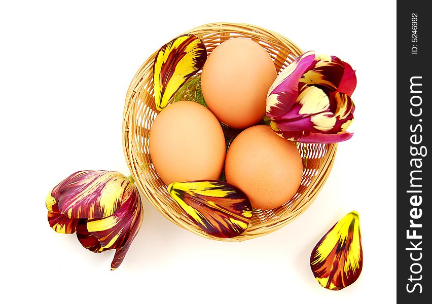 Easter eggs in basket with tulips