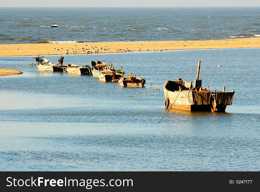 Fishing boat and sea gull in a small fishing port