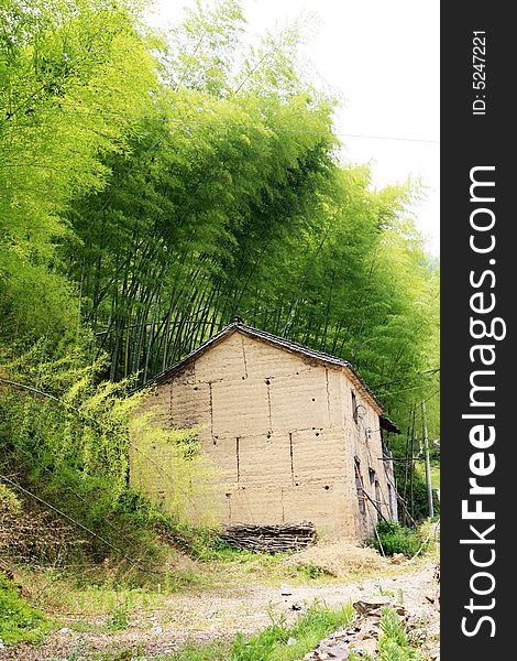 Old house among green bamboo. Old house among green bamboo