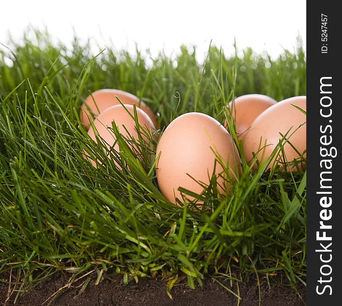 Fresh eggs on grass . isolated on a white background. please have a look at my other images about this theme. Fresh eggs on grass . isolated on a white background. please have a look at my other images about this theme