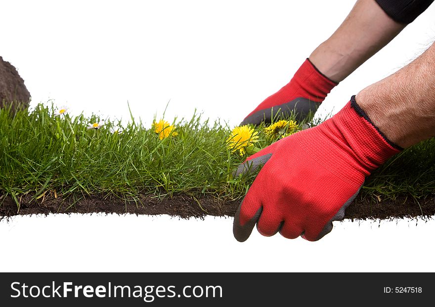 Strip of grass and soil with garden-gloves isolated on white background. Please Have a look at my similar images. Strip of grass and soil with garden-gloves isolated on white background. Please Have a look at my similar images