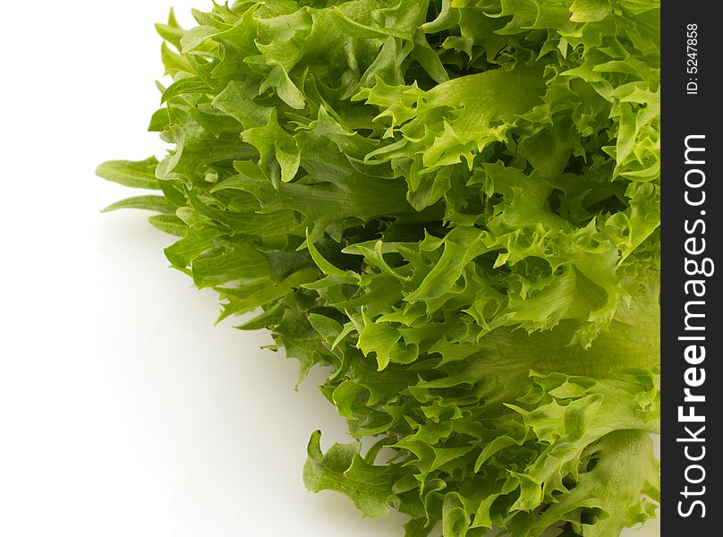 Green lettuce on a white background. Green lettuce on a white background