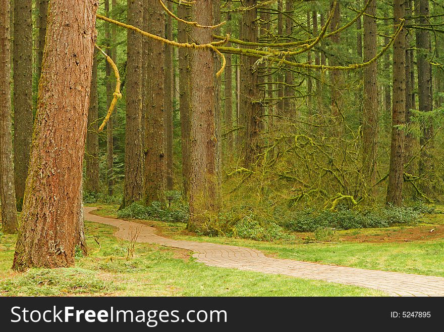 Brick Pathway throught the forest at Silver Falls State Park, Oregon, USA. Brick Pathway throught the forest at Silver Falls State Park, Oregon, USA