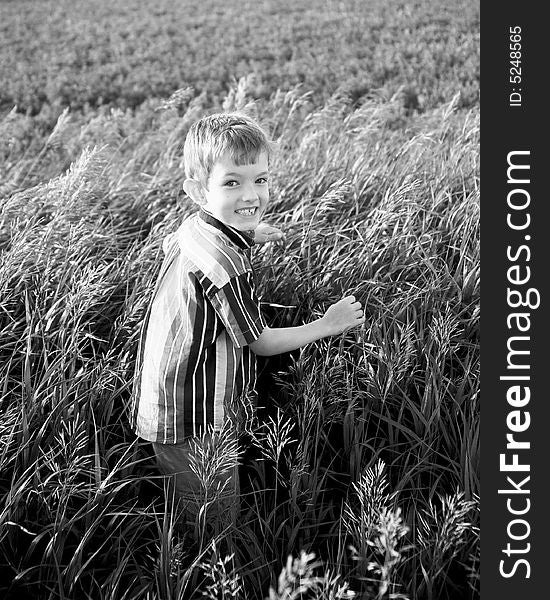 Joyful little boy walking through farm field looking back. Joyful little boy walking through farm field looking back