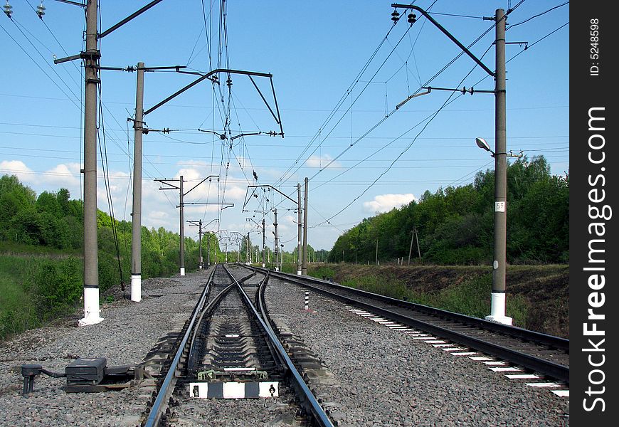 The electrified railway passes through a wood