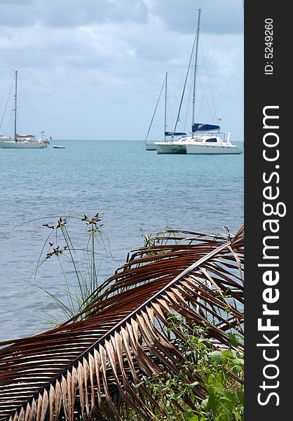 Yachts and other boats on the sea in Placencia, Belize. Yachts and other boats on the sea in Placencia, Belize