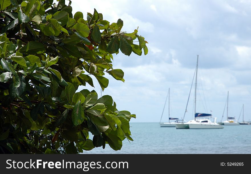 Yachts and other boats on the sea in Placencia, Belize. Yachts and other boats on the sea in Placencia, Belize