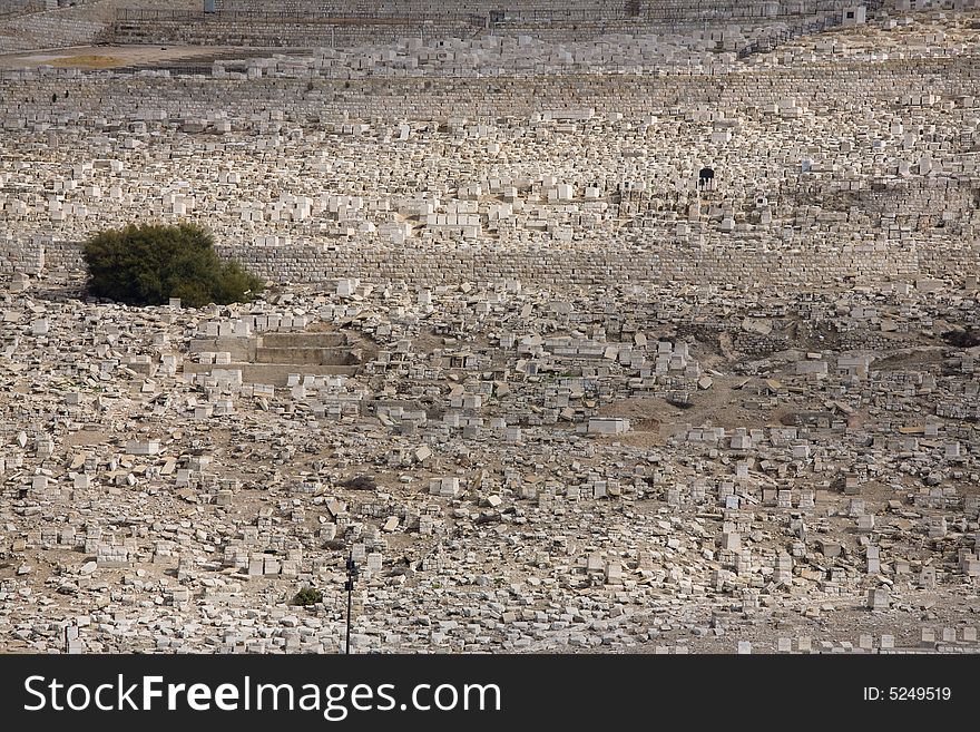 Structure of cemetery on Olive mountain in Jerusalem. Structure of cemetery on Olive mountain in Jerusalem.
