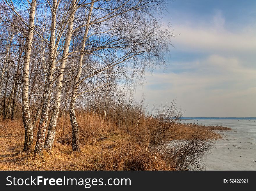 Landscape Park In The Early Spring