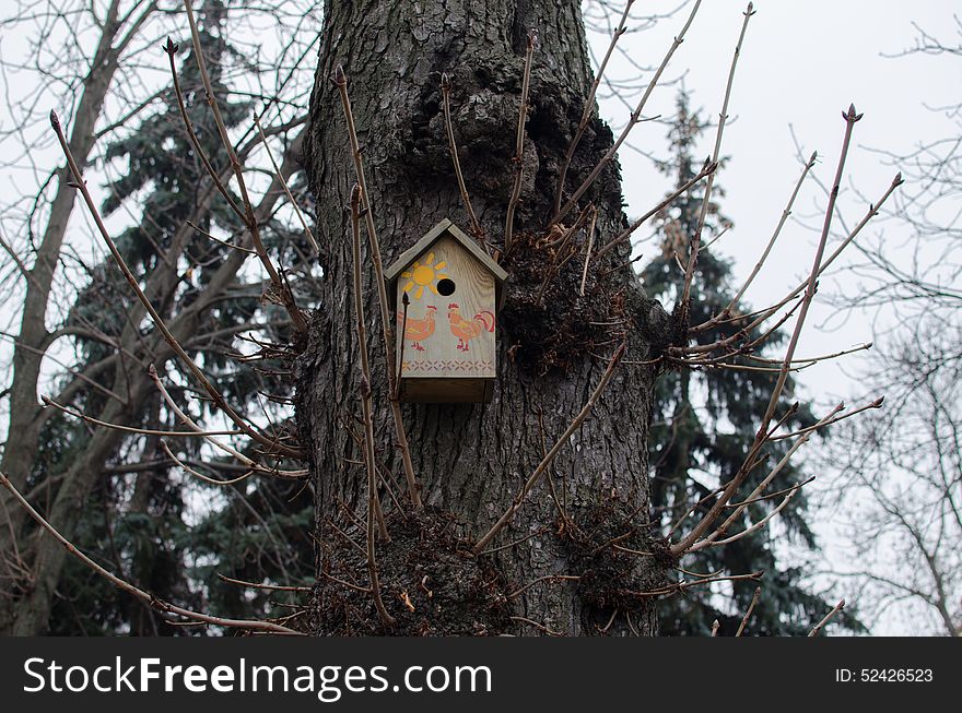 Birdhouse shelter for a birds