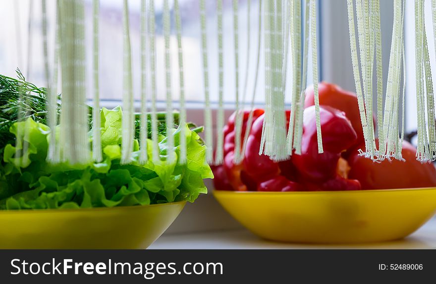 Some vegetables on windowsill