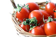 Cherry Tomatoes Royalty Free Stock Photography Cherry Tomatoes Royalty Free Stock Photography