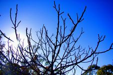 Clare Autumn Morning Royalty Free Stock Photo Clare Autumn Morning Royalty Free Stock Photo