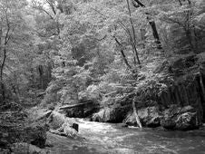 Gunpowder River In Spring-BXW Stock Photos