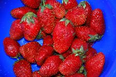 Fresh Strawberries Stock Photos Fresh Strawberries Stock Photos