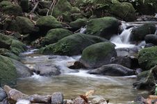 Stream In A Jungle Stock Photos Stream In A Jungle Stock Photos