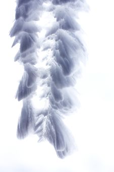 Feathery Icicles  5 Royalty Free Stock Photo