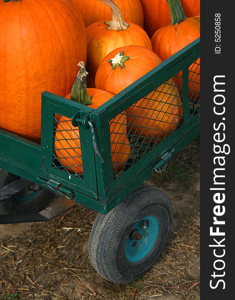 Close up of Pumpkins in a Wagon