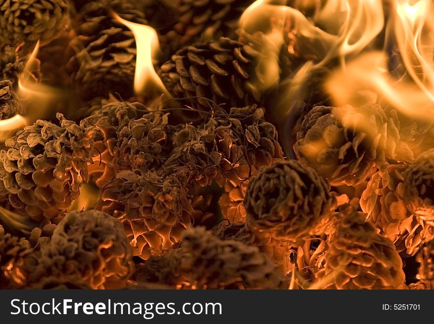 Pinecones burning in a firepit. Pinecones burning in a firepit.