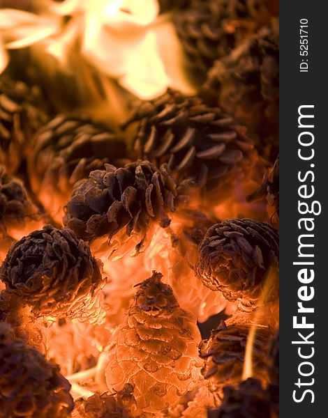Pinecones burning in a firepit. Pinecones burning in a firepit.