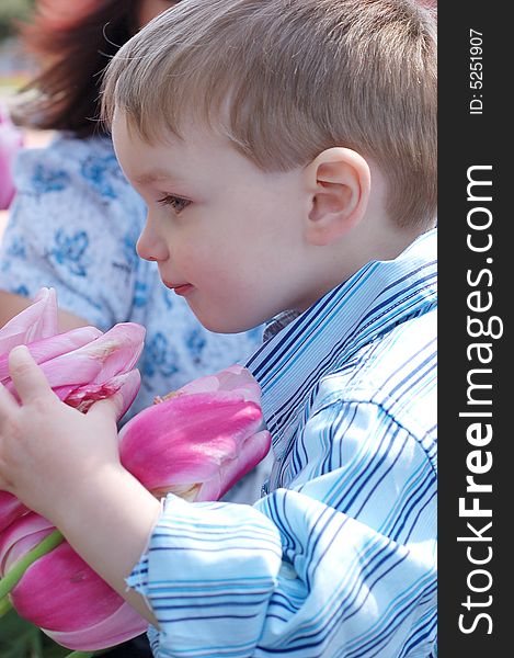 A side shot of a young boy in a blue shirt smelling flowers. A side shot of a young boy in a blue shirt smelling flowers.