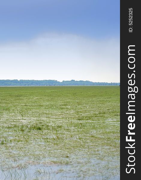 Swamp with stormy clouds