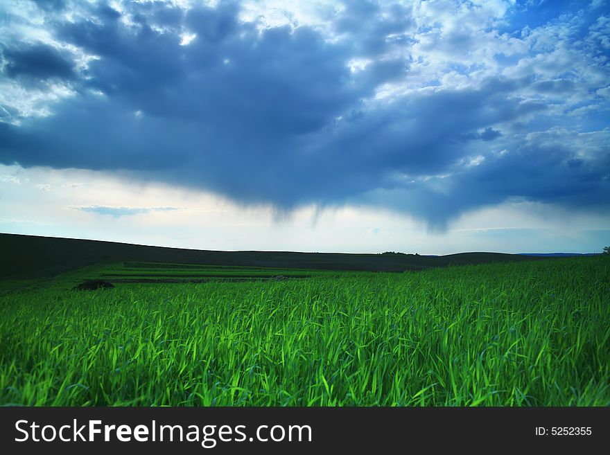 Green field and blue sky with thunder-clouds. Green field and blue sky with thunder-clouds