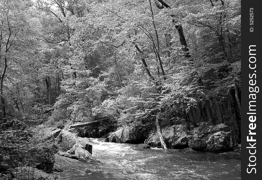 Photo of the Gunpowder river of Maryland during spring. Photo taken in digital BXW for best effect. This river is a favorite of kayakers and fisherman. Photo of the Gunpowder river of Maryland during spring. Photo taken in digital BXW for best effect. This river is a favorite of kayakers and fisherman.