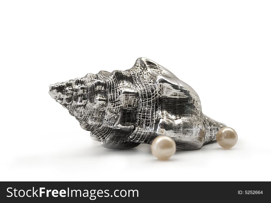 Silver sea shell, nature pearl. Silver sea shell, nature pearl