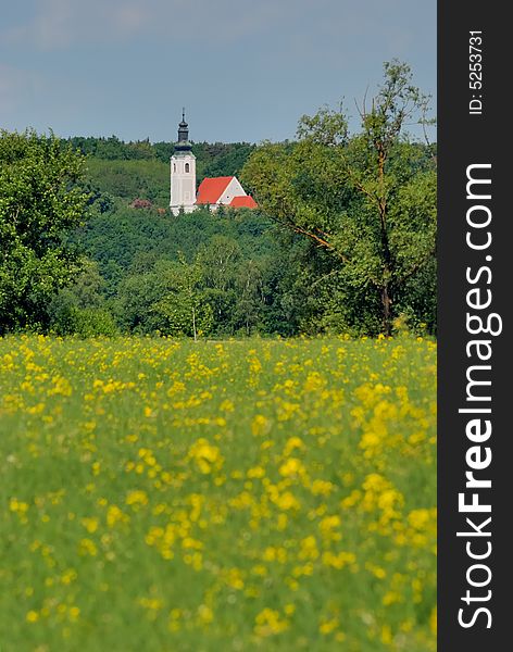 Church with forest and rape field at the horizon. Church with forest and rape field at the horizon