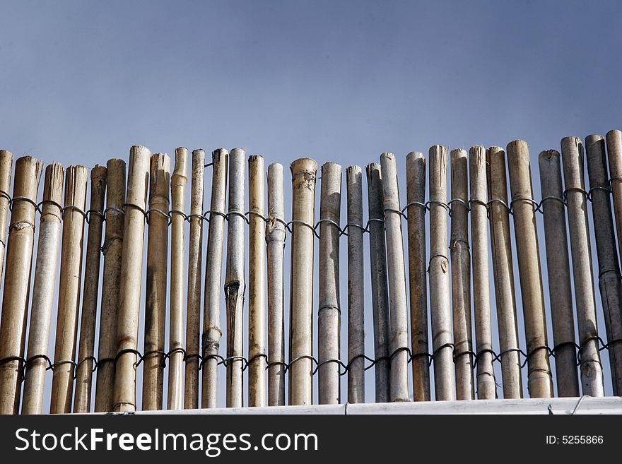 Bamboo Fence And Sky