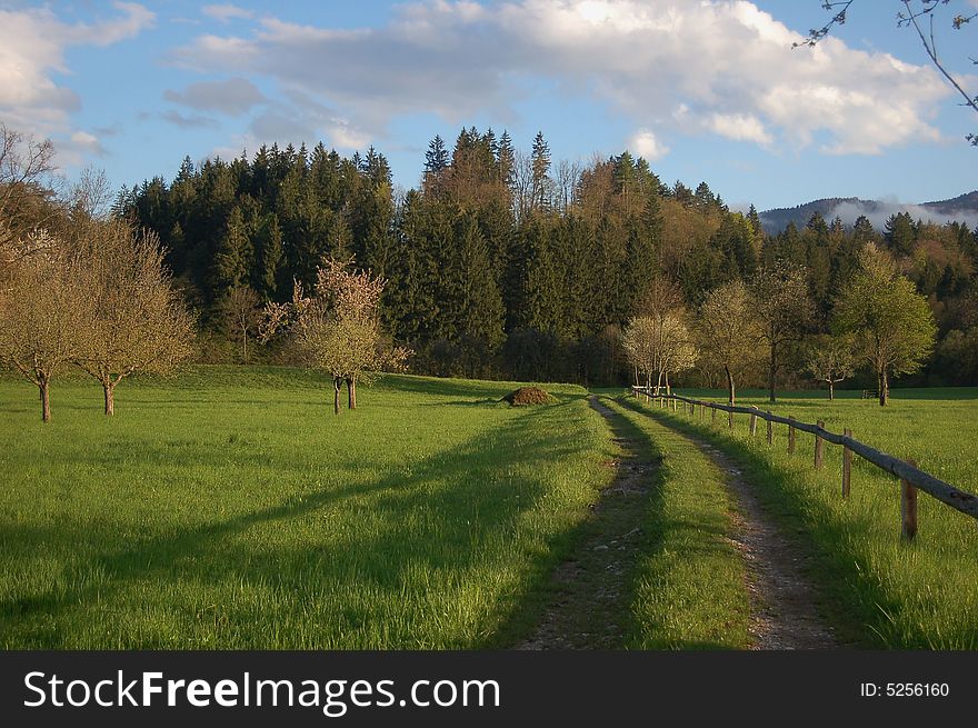 View on a spring landscape with a road