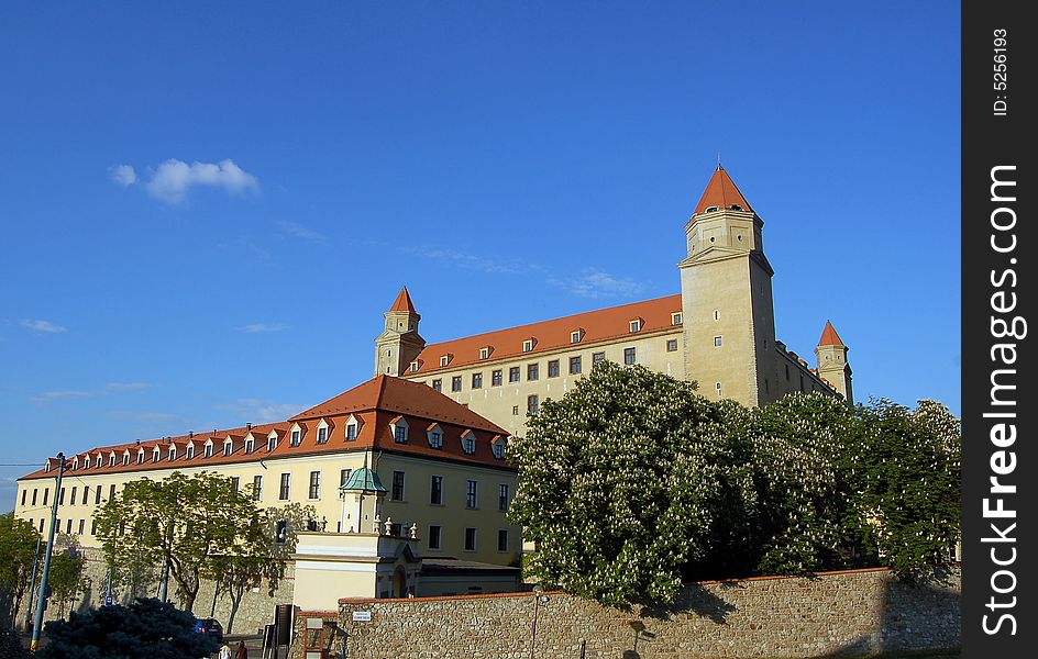 View on the castle in spring. View on the castle in spring