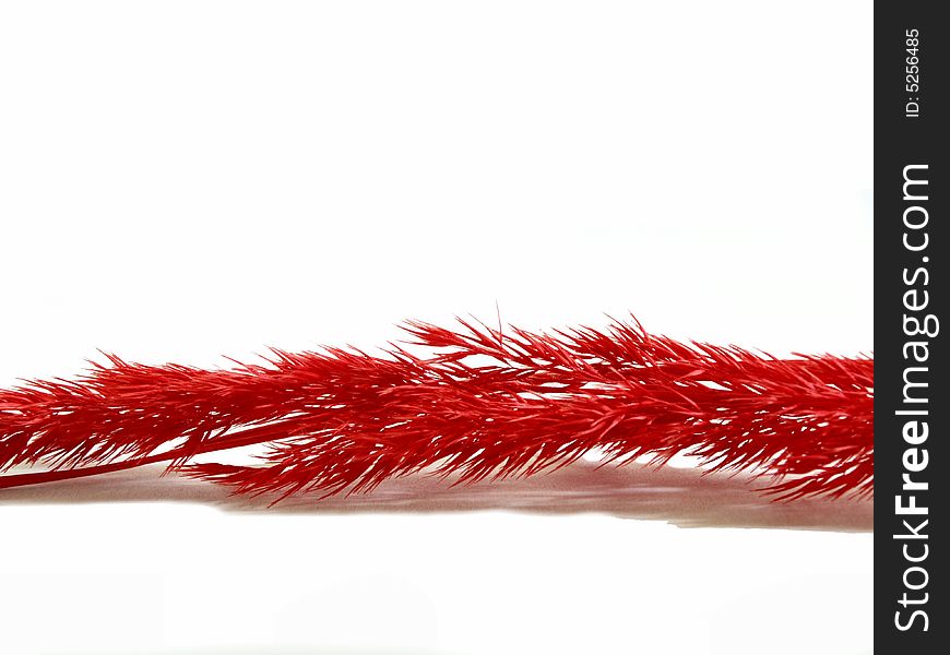 Photo of red grass straw on white background