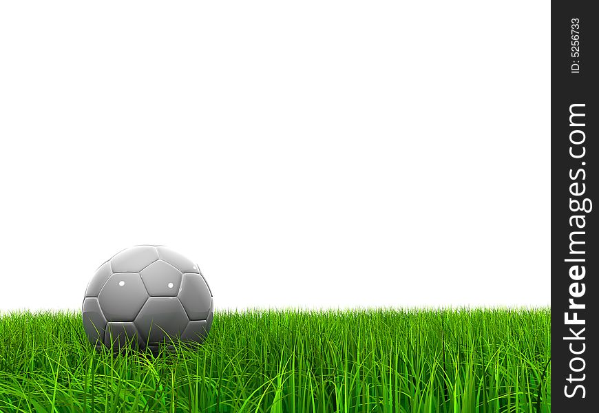 Extremely high resolution soccer ball in grass. Extremely high resolution soccer ball in grass