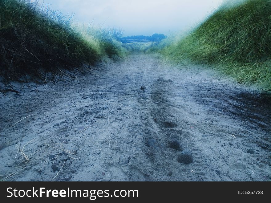 Road, grass, green, sand, landscape, spring, day, fog, stones, trees