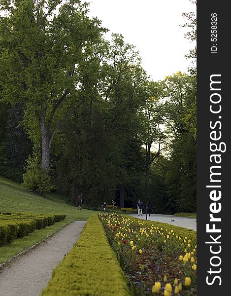 Old castle garden view with spring tulips. Old castle garden view with spring tulips