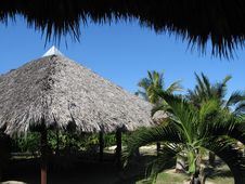 Palm Leaves Roof Royalty Free Stock Images Palm Leaves Roof Royalty Free Stock Images