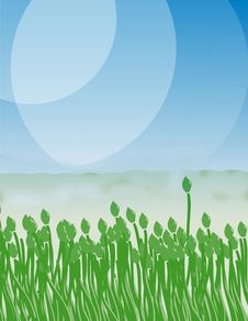 Green Tulip On The Blue Sky Stock Images Green Tulip On The Blue Sky Stock Images