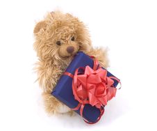 Teddy Bear With Gift Box Royalty Free Stock Photo