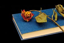 Dried-out Rose On Book And Bookstand Stock Photography Dried-out Rose On Book And Bookstand Stock Photography