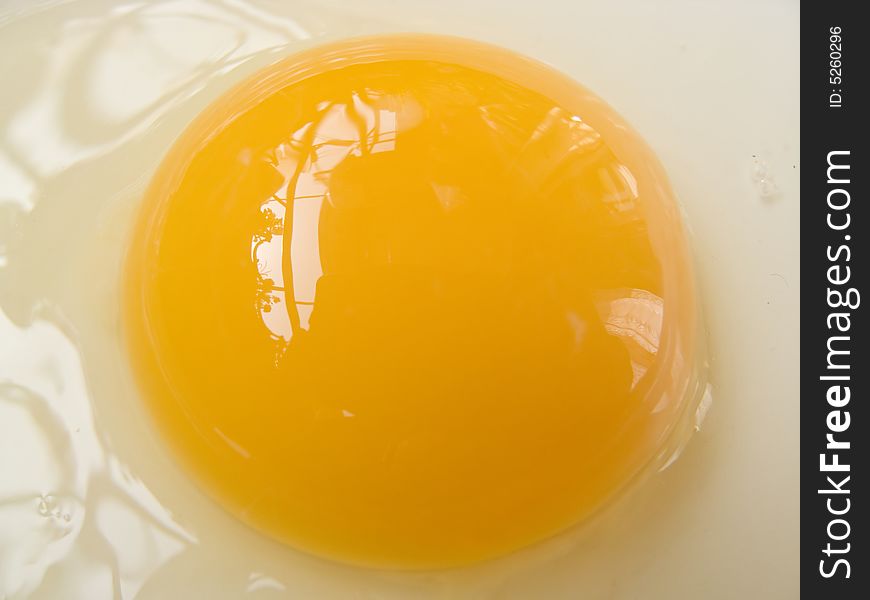 Egg Yolk