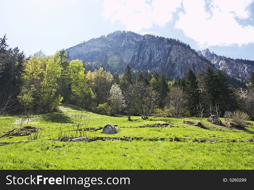 An alpine meadow in Courmayeur, Italy, with rocks and typical alpine trees, framed by rocky cliffs in the background. An alpine meadow in Courmayeur, Italy, with rocks and typical alpine trees, framed by rocky cliffs in the background.