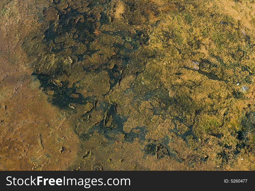 Grunge background texture on dirty water. Grunge background texture on dirty water