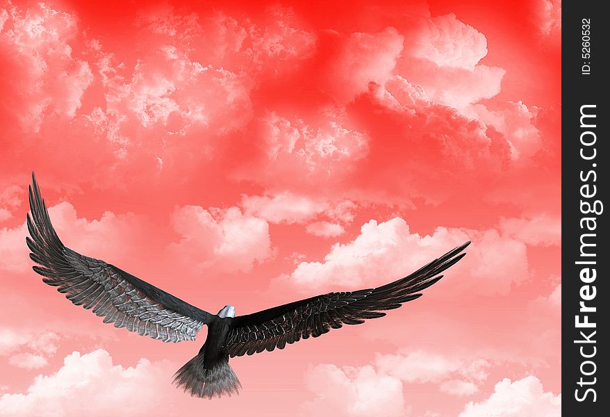 An eagle flight against a sky with white clouds. An eagle flight against a sky with white clouds